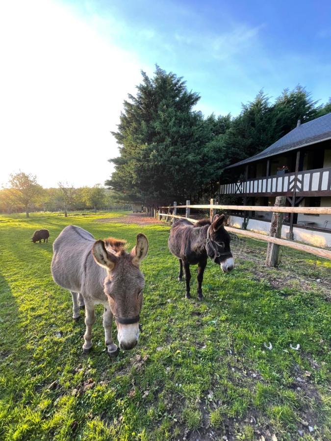 Domaine de Geffosse Pont-l'Eveque (Calvados) Exterior foto
